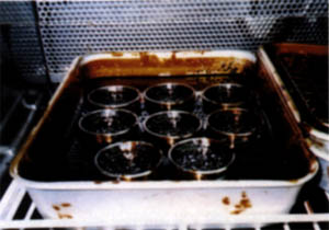 056-1.jpg