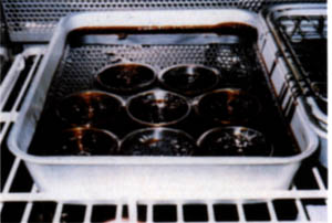 056-5.jpg