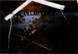 057-6.jpg