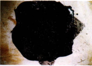 057-7.jpg