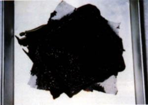 058-5.jpg