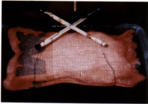 059-8.jpg