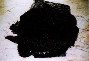 060-5.jpg