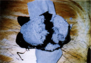 060-8.jpg