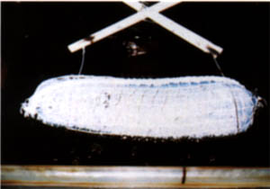 061-1.jpg