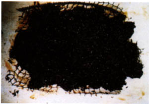 061-3.jpg