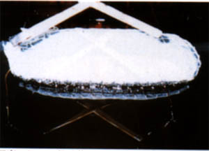 061-4.jpg