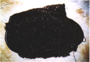 061-6.jpg
