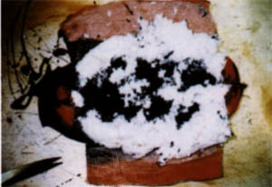 062-7.jpg