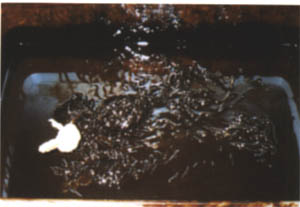 063-4.jpg