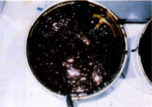 064-3.jpg