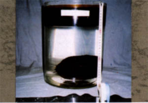 066-7.jpg