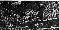 013-4.gif