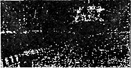 013-5.gif
