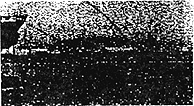 013-7.gif