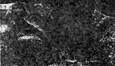 008-3.gif