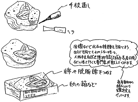 012-2.gif