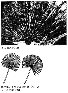 013-3.gif