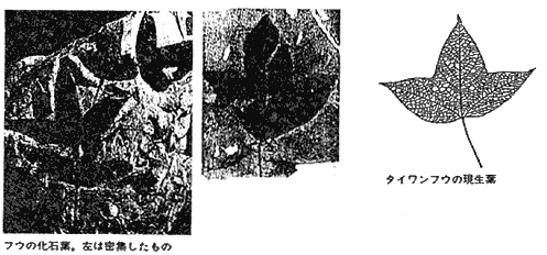 013-5.gif
