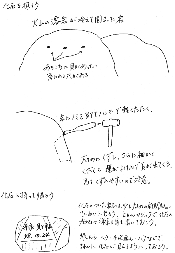 018-1.gif