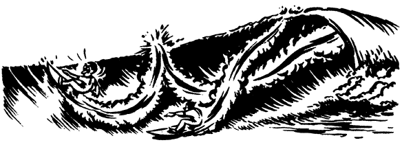 014-3.gif