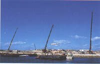 017-1.jpg