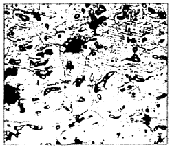 033-4.gif