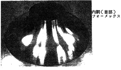 035-5.gif