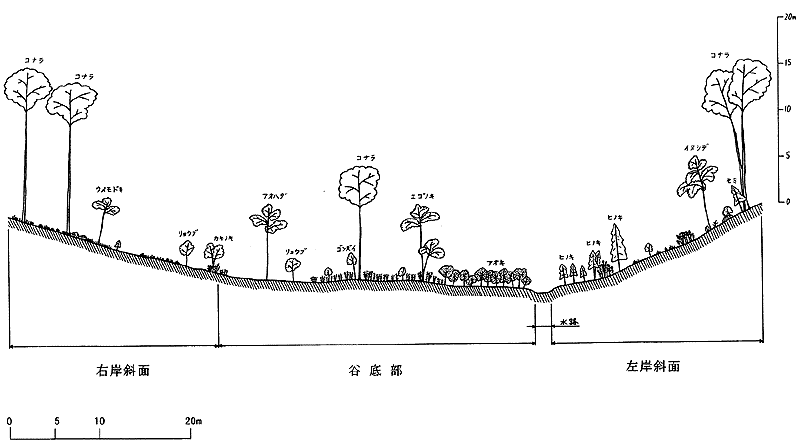 024-1.gif