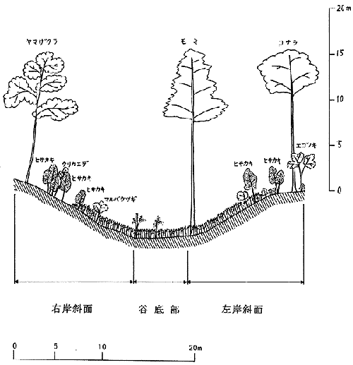 041-1.gif