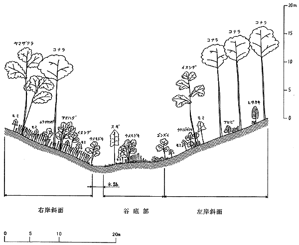 043-1.gif