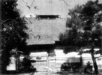 101-1.jpg