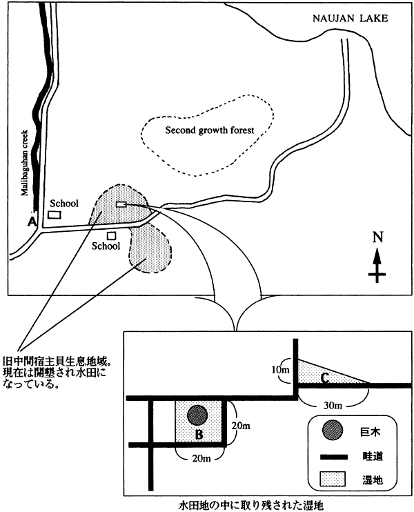 029-1.gif
