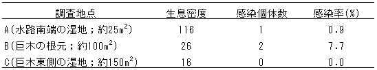 030-1.gif