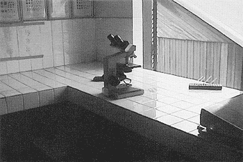 004-4.gif