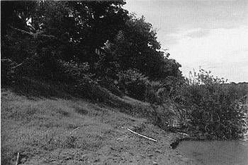 006-1.gif