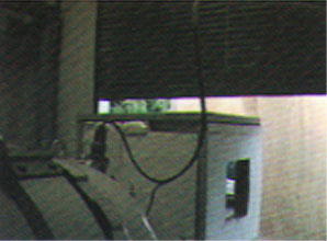 011-1.jpg
