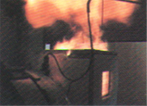 011-7.jpg