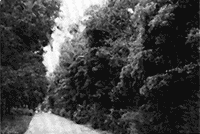 019-2.gif