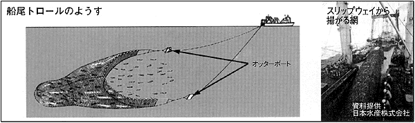 日本財団図書館（電子図書館） 船の科学館もの知りシート「船と魚」