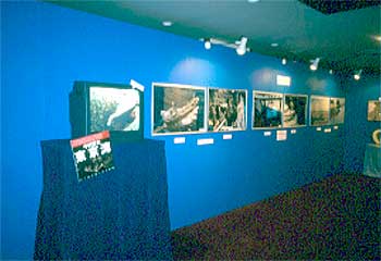 003-3.jpg