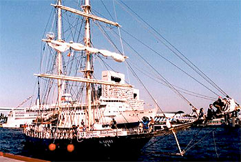 008-4.jpg