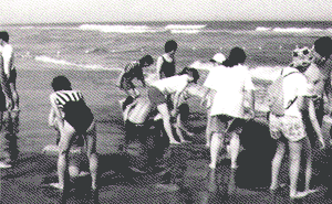 033-2.gif