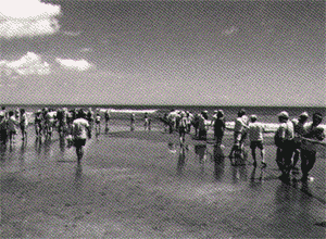 034-6.gif