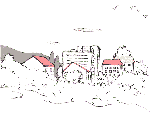 017-1.gif