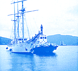 028-1.gif