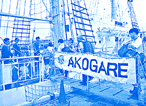 028-2.gif