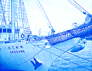 046-1.gif