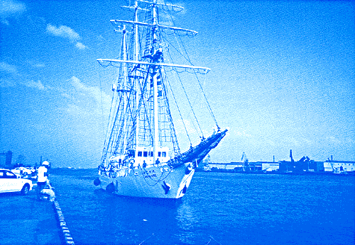 051-1.gif