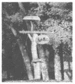 020-1.gif